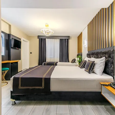 فندق Med Life Istanbul Airport 4*